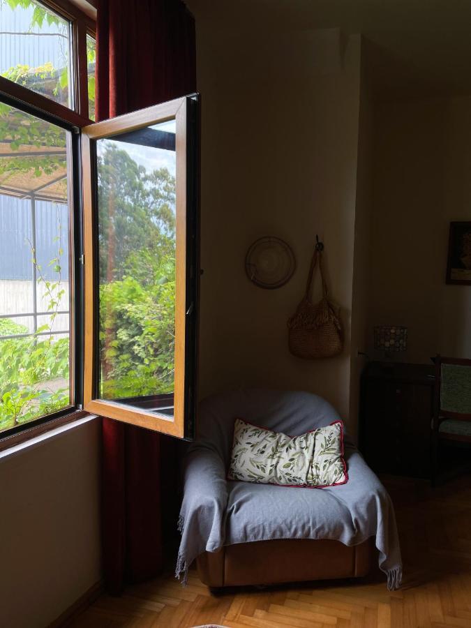Batumi Holiday 3 巴统 外观 照片